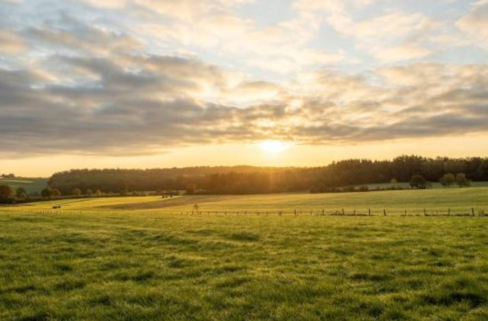 Est-ce qu’acheter un terrain est un bon investissement ?